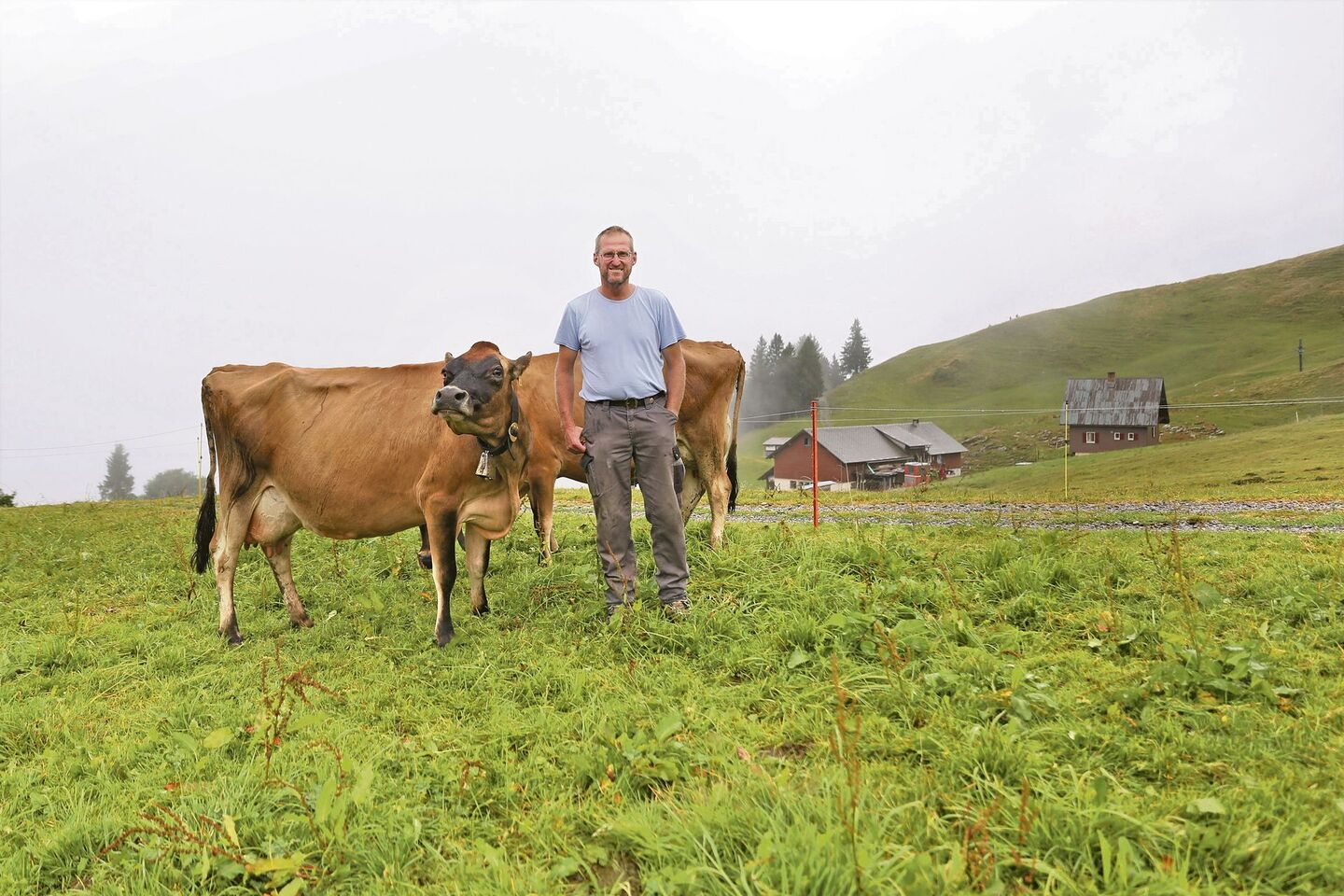 Othmar Schelbert konnte zur Freude seiner Kühe in den vergangenen Jahren den Grasbestand auf der Alp verbessern