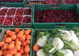 Baeren Bio ist der neue Handelsbetrieb für regionale Biofrüchte, Biobeeren und biologisches Frisch- und Lagergemüse. Die Firma ist ab Ostern aktiv und beliefert Läden, Restaurants, Marktfahrer und Hofläden in der Region Bern.