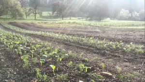 Mit dem Preis wird klimafreundliche Landwirtschaft geehrt.
