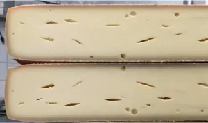 : Raclettekäse mit fehlerhafter Lochung verursacht durch eine Propionsäuregärung. (Bild Merkblatt Agroscope)
