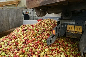 Beim Obstsaft rechnet der SOV in diesem Jahr mit deutlichen Absatzeinbussen – eine Folge des Lockdowns und der geschlossenen Gastro-Betriebe. (Bild ji/Lid)
