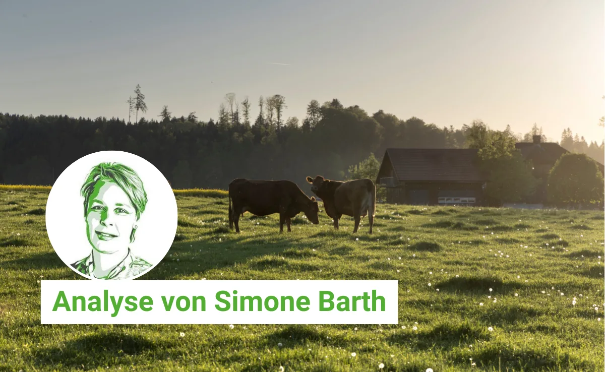 Artikel_Analyse_BauZ__3_ Wenn aus Fülle ein Problem wird: Die Schweizer Landwirtschaft im Würgegriff der Überproduktion