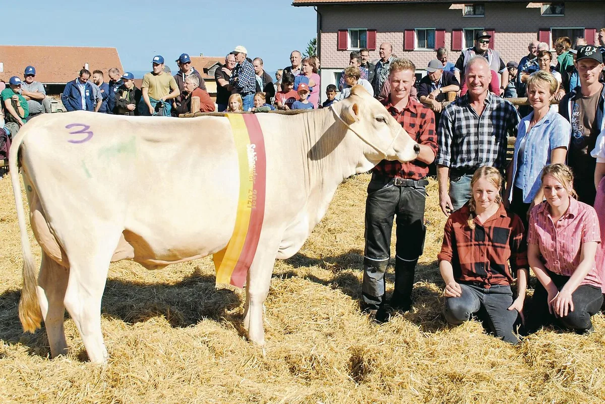 Blooming stellte die meisten Top-Kühe in Schwyz