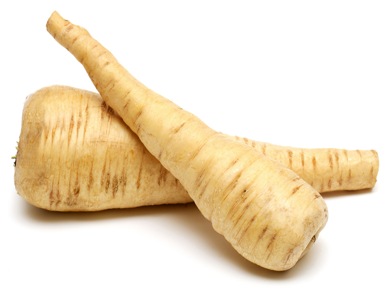 Die Pastinake ist – wie die Kartoffel – reich an Stärke und somit sehr nahrhaft. (Bild VSGP)