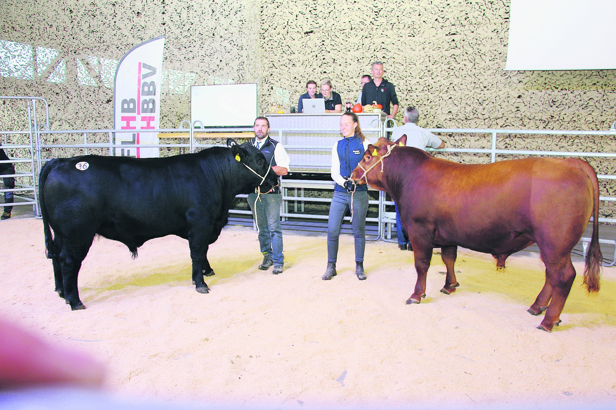 Erfolgreicher Stierenmarkt in Brunegg im Hybrid-Format