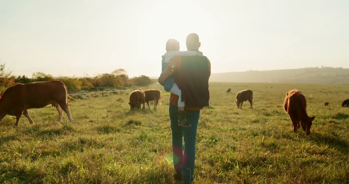 AdobeStock_579650120 Family, farm and cattle with a girl and father walking on a fiel