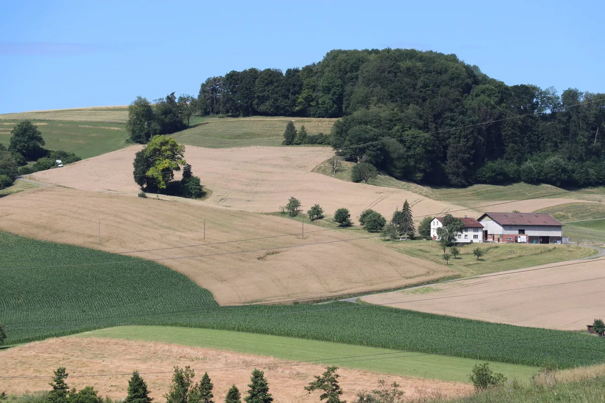 f9f93d30e47df324a46ccba9b2af1776fa6edfbb In der 4. Auflage "Optimale Fruchtfolgen im Feldbau" wurden unter anderem die Anbaupausen revidiert. Neu sollte beispielsweise Weizen nur noch alle 2 Jahre in der Folge angebaut werden. Bei Mais ohne Bodenschutzmassnahmen ändert sich die Anbaupause von 2/3 auf 3/5. (Bild BauZ)