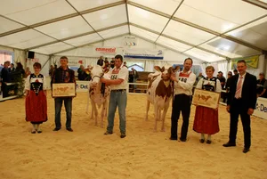 Die Senior-Grand-Champion Mollanges Director Sabrina (rechts), von Marc und Erhard Junker aus Iffwil BE und die Senior-Schöneutersiegerin Savard Jipsy von Daniel Bolz aus Dieterswil BE. (Bilder: Peter Fankhauser)