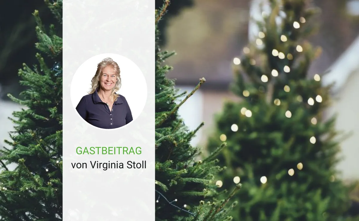 arena-50 «Holz aalange» in der Weihnachtszeit