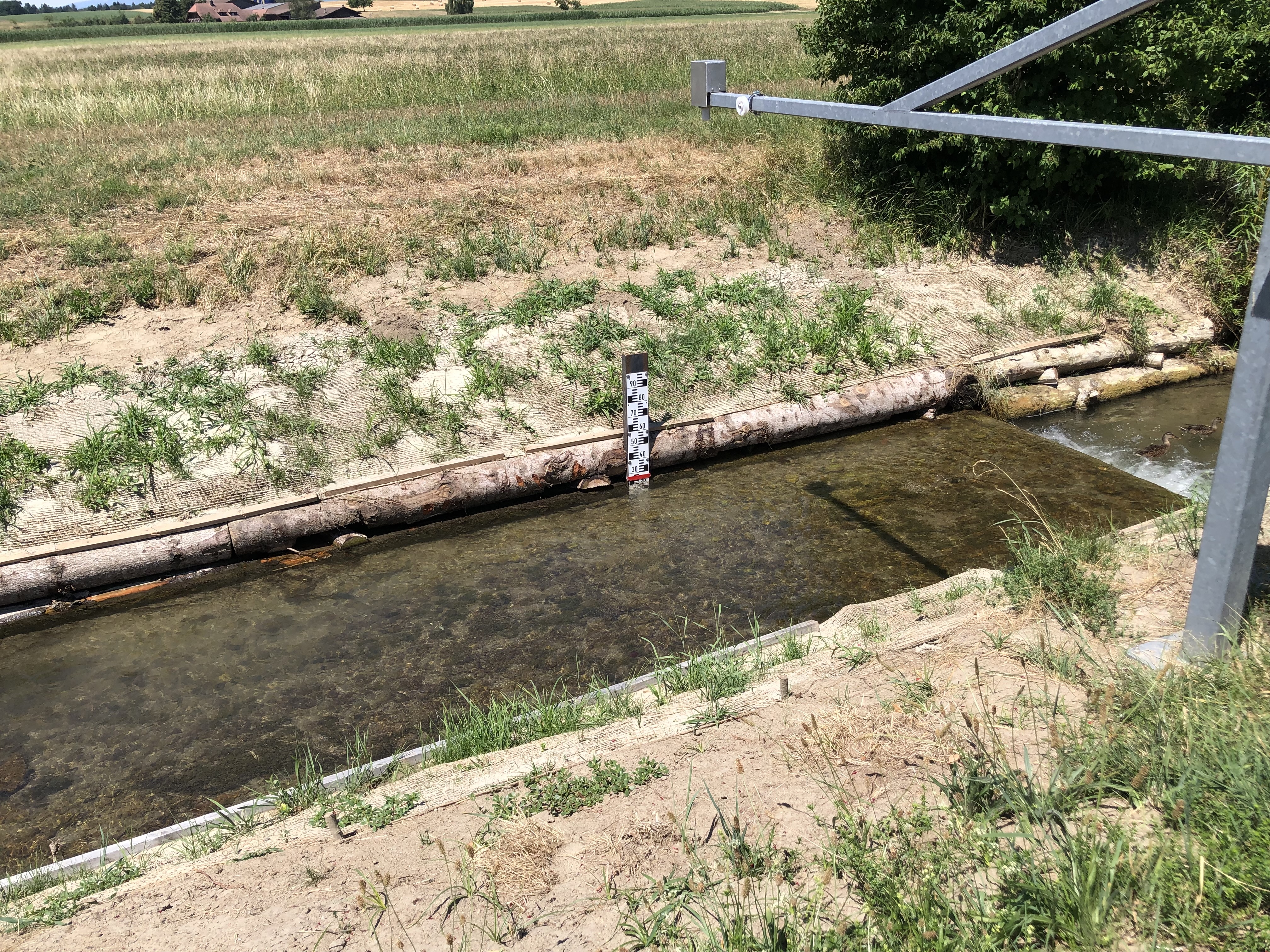 Dieser Bach führt laut Pegel-Skala zu wenig Wasser. Ein Bild, das sich derzeit vielerorts zeigt.