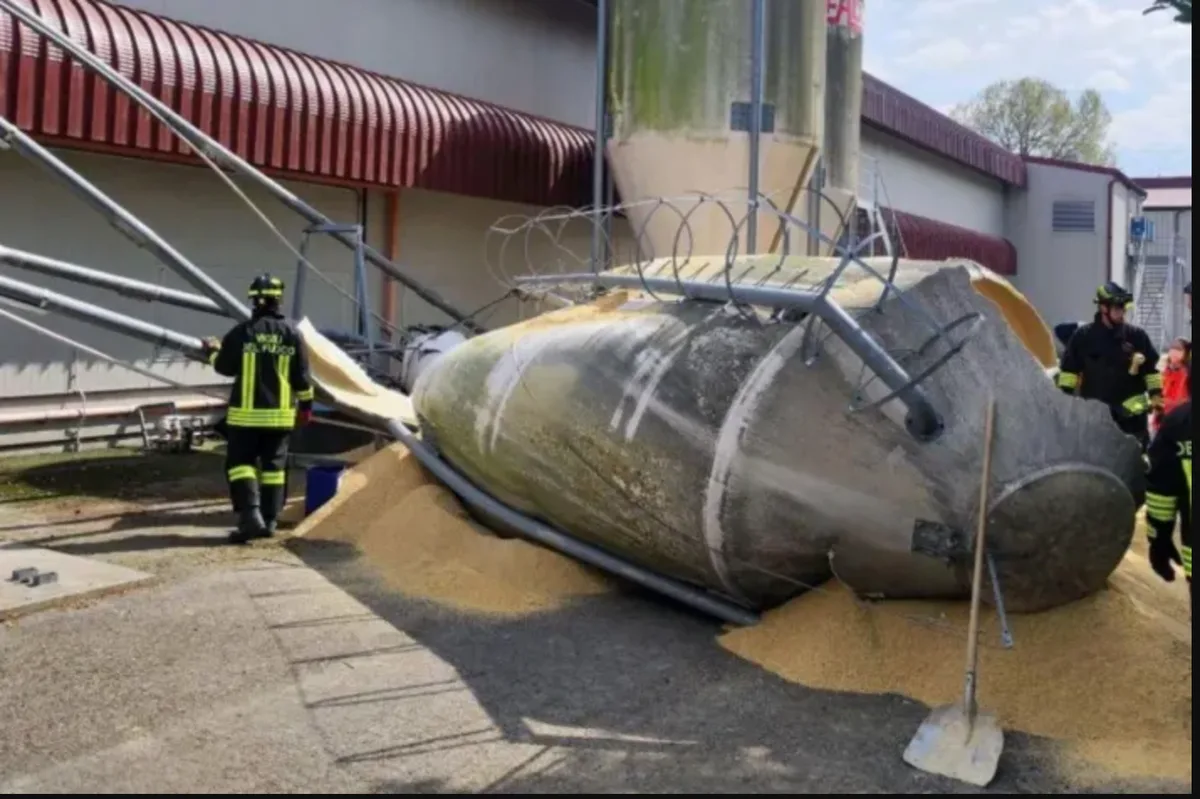 Silounfall Junglenkerin kracht in Silo - drei Geschwister tödlich verletzt