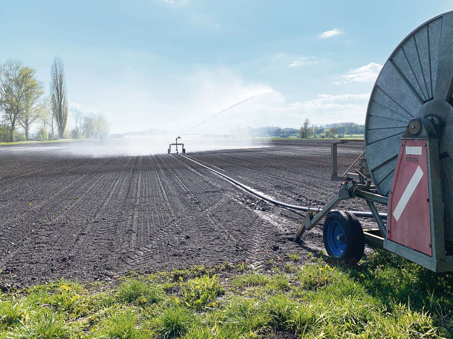 Vor allem im Gemüsebau braucht es viel Wasser. Die Bewässerungstechnik soll allerdings optimiert werden, um Wasser zu sparen.