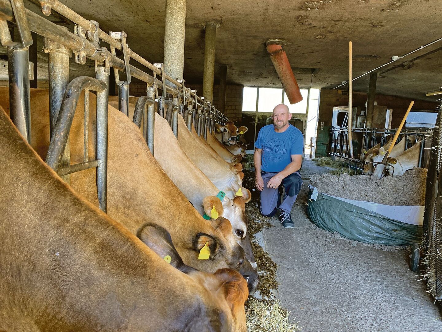 André Stalder im Stall bei seinen Jersey-Kühen. Neben Milchwirtschaft und Fleisch-Vermarktung bietet er auf seinem Hof Green Care an.