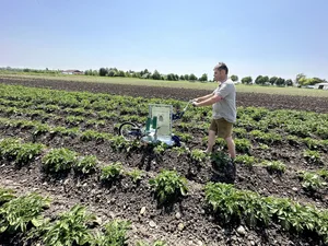 Für kleinere Flächen gibt es eine 1-reihige Maschine, die per Hand geführt wird.