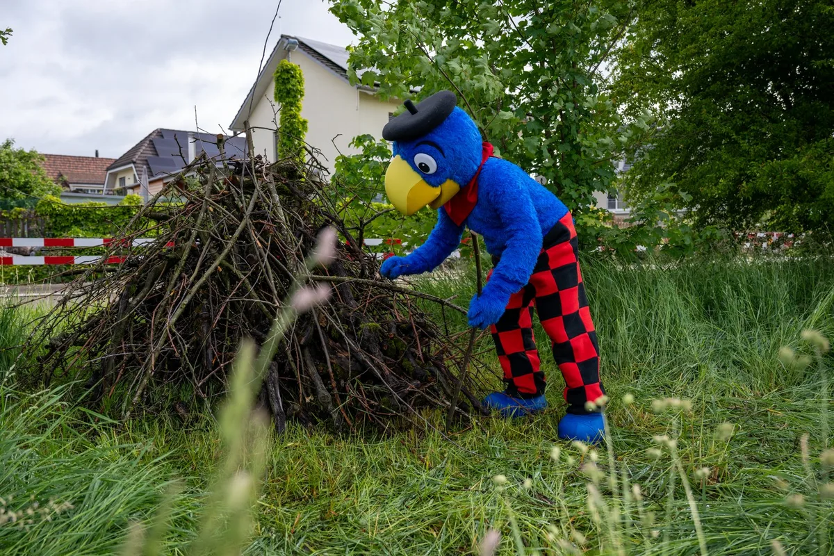 Globi_PK_Plan_B-Asthaufen Der Zürcher Bauernverband ernennt Globi zum Botschafter des Biodiversitätsprojekts «Plan B»