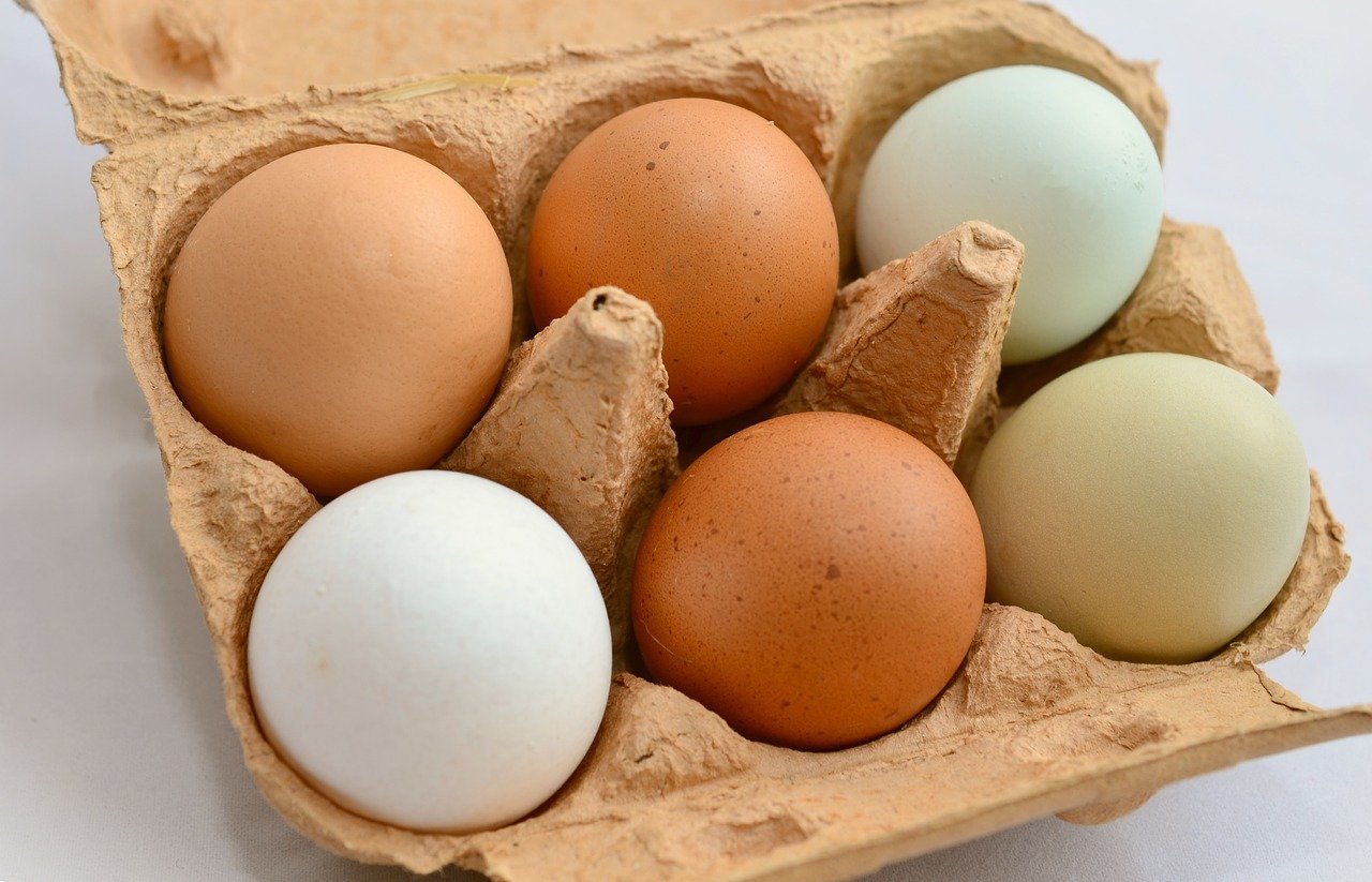 Während sich die Lage im Schweizer Eiermarkt immer mehr entspannt, herrscht im Ausland wegen der Vogelgrippe Unsicherheit bezüglich der Verfügbarkeit von Freiland- und Bio-Eiern. (Bild Pixabay)