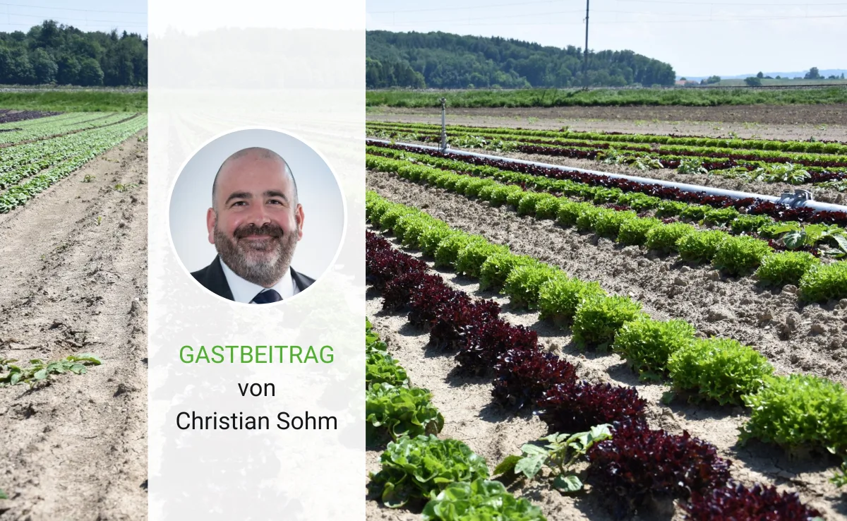 Artikel_Gastbeitrag_BauZ_Sohm Die neuen Qualitätsnormen für das Gemüse werden gut angenommen