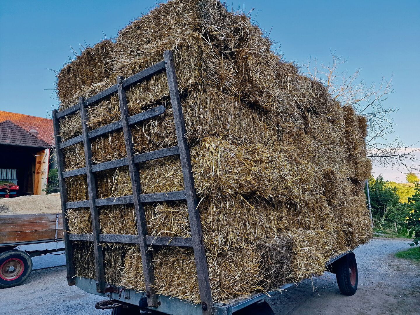 Auf vielen Bauernhöfen lagern zahlreiche Vorräte, die es an Neujahr zu bewerten gilt. Publiziert werden die Richtzahlen vom Treuhandverband Landwirtschaft Schweiz, Treuland.
