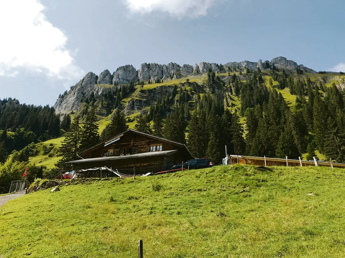 c2c076a8fa3e3784fb0c6adfc317fbecef0a1a43 Mit viel Herzblut der Sennen werden auch heuer unzählige Stunden Arbeit auf zahlreichen Alpen verrichtet, wie etwa auf der Oberhofner Alp, zuhinterst im Justistal.(Bilder zVg)