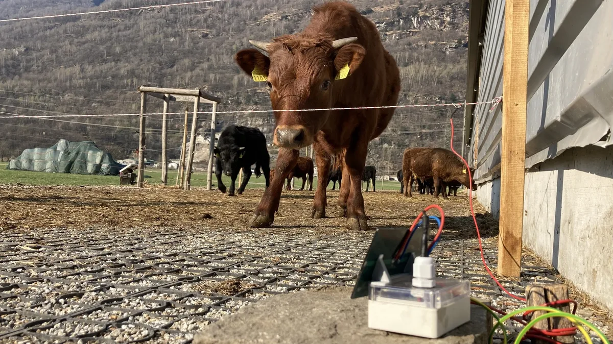 lora-fence_zvg Angehende Agronomen sind technisch gerüstet für die Zukunft