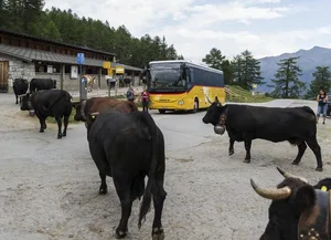 Mit dem Postauto lässt es sich gut zum Hof reisen. (Agrotourismus Schweiz)