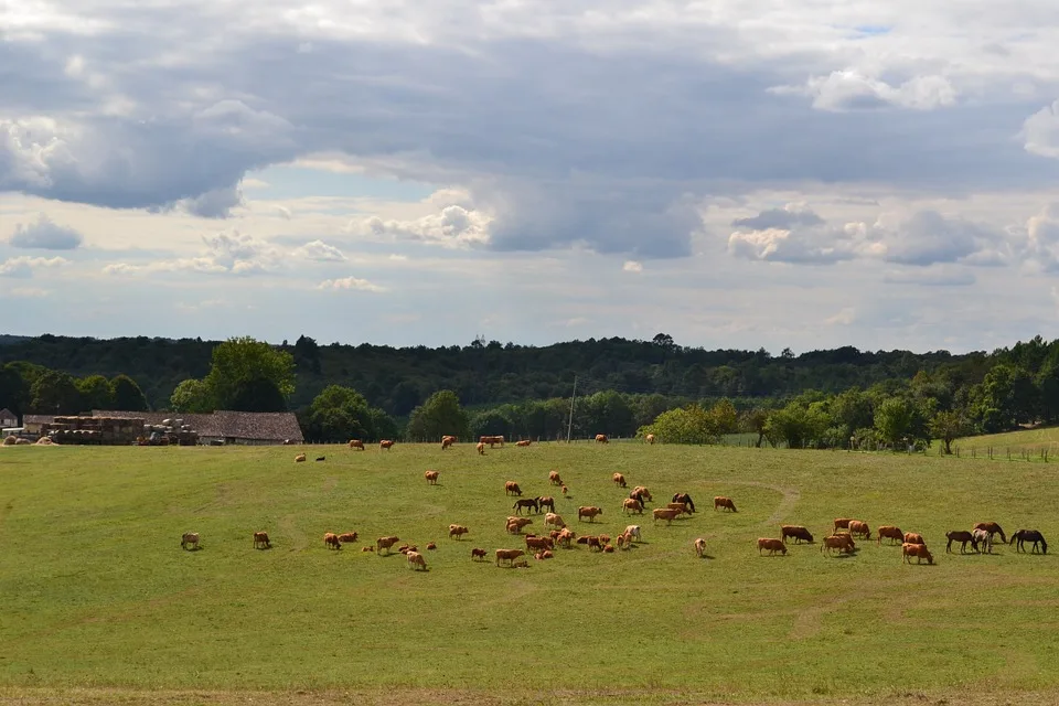 4c590767ae4464724b0739f5819c7b50cb3a971f Kühe und Pferde auf der Weide in der Dordogne (Frankreich). (Bild Pixabay)