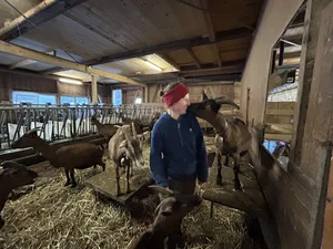Simone Burki mit der Ziege Ivana, die bald gitzlen wird.
