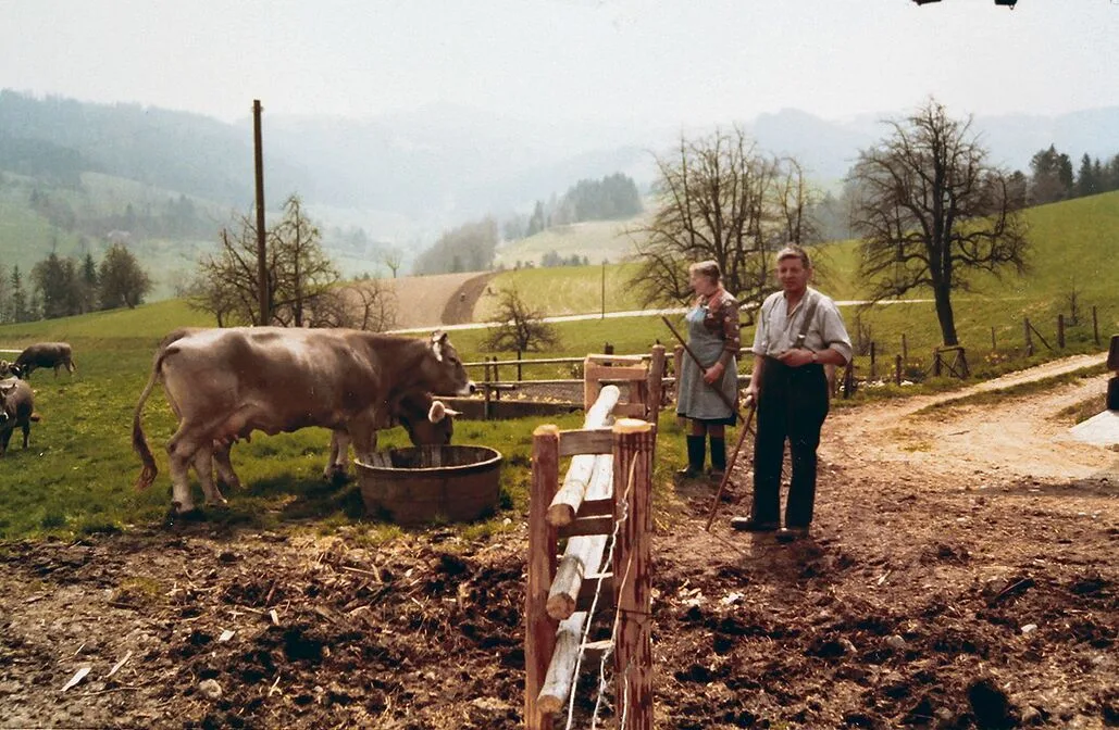 Auf dem Bild sieht man meine Eltern. Am 26. April 1978 wurde unser Braunvieh auf die Weide gelassen.