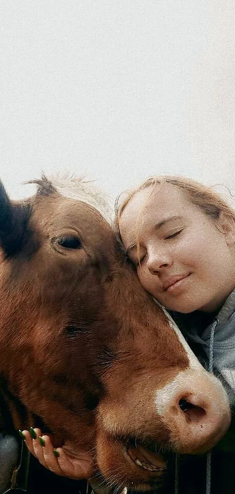 Eine ledige Landwirtin findet die Liebe