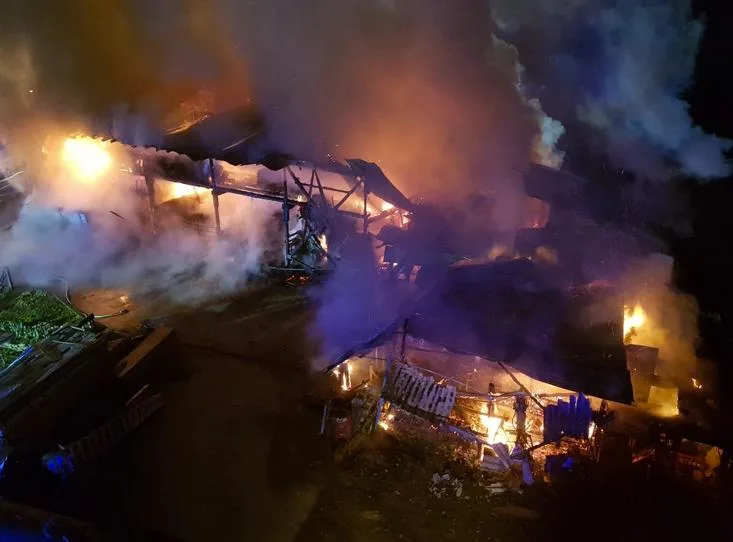f75191f0570935804a590f3f87261479837849fe Dieses Ökonomiegebäude wurde ein Raub der Flammen. Dabei mussten über 30 Rinder ihr Leben lassen. (Bild Feuerwehr Schopfen)