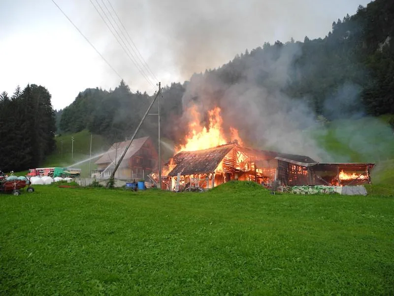 4cae39d14d73d736c97b455c7f18b25ffe7d791b Beim Brand brannte Stall und Remisen komplett ab. (Bild Kantonspolizei Schwyz)