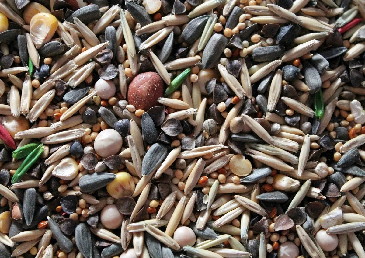 seeds-4054673_1280_Kopie Bayer erringt Erfolg im Streit mit BASF um Saatgutgeschäft