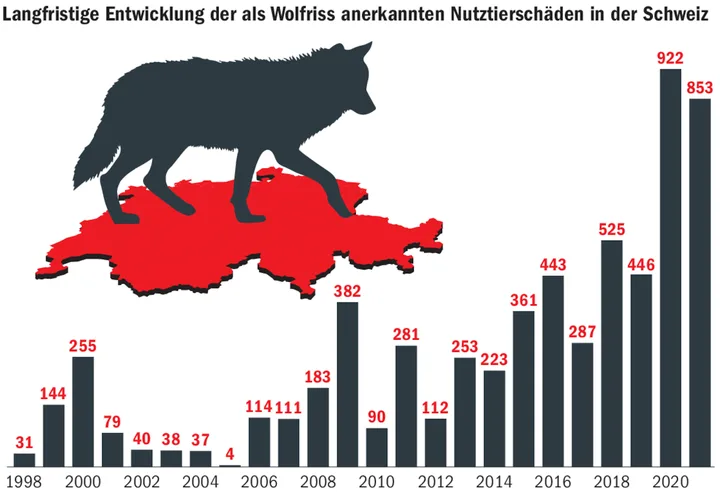 cc4f007b76ec2c7912be7d64d2706de0ceb04f6373348a25a49812d16f504ebf Heuer dürften erstmals mehr als 1000 gerissene Nutztiere als Wolfsriss anerkannt werden