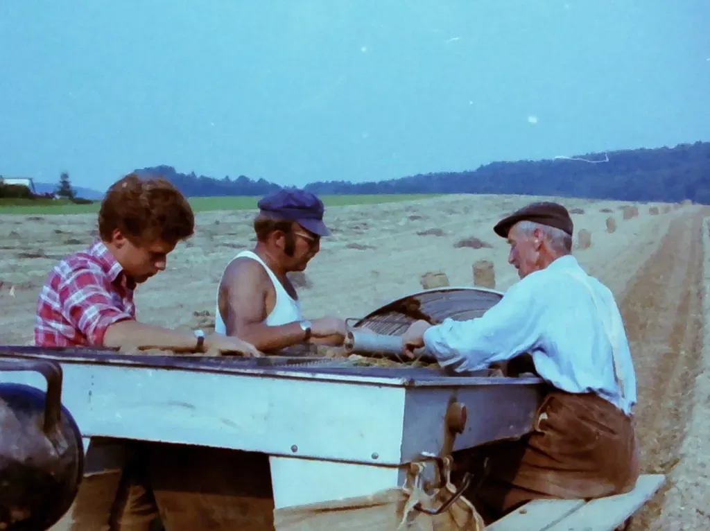 image Samrolen – eine harte, aber schöne Arbeit