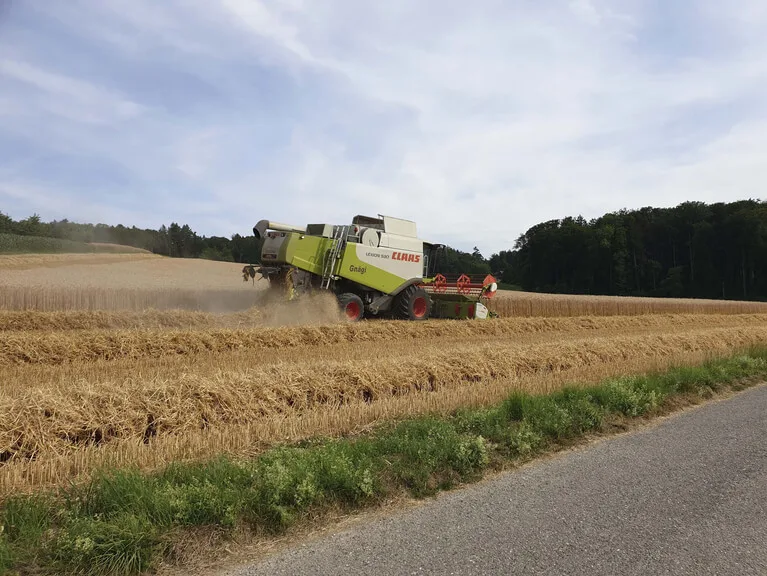 9199bac0c77b3aaccce0eff52041767b82c42770 Schweizweit wird derzeit Getreide gedrescht. (Bild lid / ji)