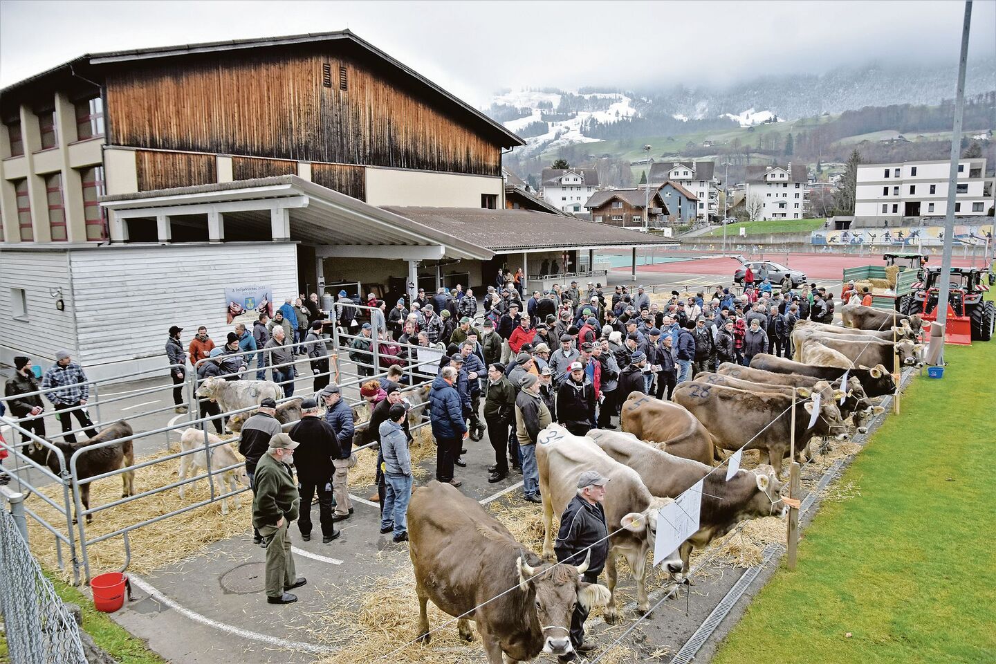 Die Auktion Kerns fand erstmals am neuen Standort auf dem Areal der Dossenhalle statt. Unter der grossen Zahl an Besuchern waren aber eher wenig Käufer auszumachen.