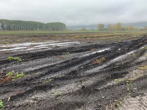 Die vergangenen heftigen Niederschläge haben den Boden stark durchnässt. Es wird davon abgeraten, den nassen Boden mit schweren Erntemaschinen zu befahren, weil sich dadurch der Boden nachteilig verdichtet. (Bild Raphael Müller, Fenaco)