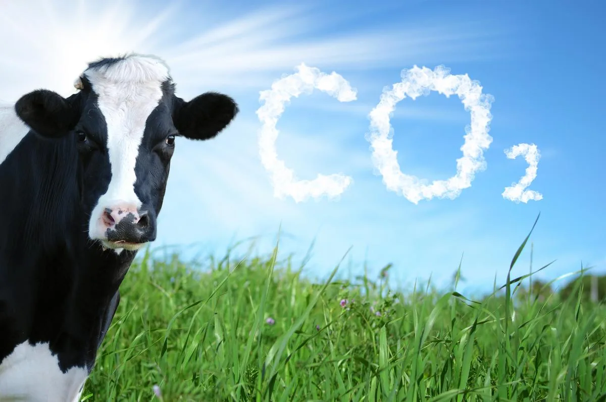688c0eb2281c8b20c8d282e9b7cdfde199cd2094 Der SBV sieht die Rolle der Landwirtschaft in Sachen Klimaschutz und was das CO2-Gesetz betrifft vor allem in der Produktion erneuerbarer Energie- und Heizsysteme. (Bild SBV)
