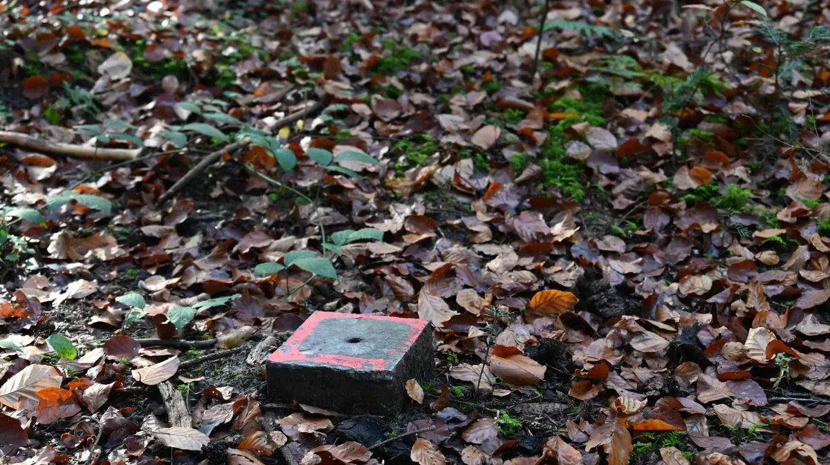 db318fecb42b485f8ea04c7cf638d9d3b5836106 Ob und wann dieser Marchstein im Lysser Wald umgesetzt wird, ist noch ungewiss. Schuld ist die Pandemie. (Bild Andrea Wyss)