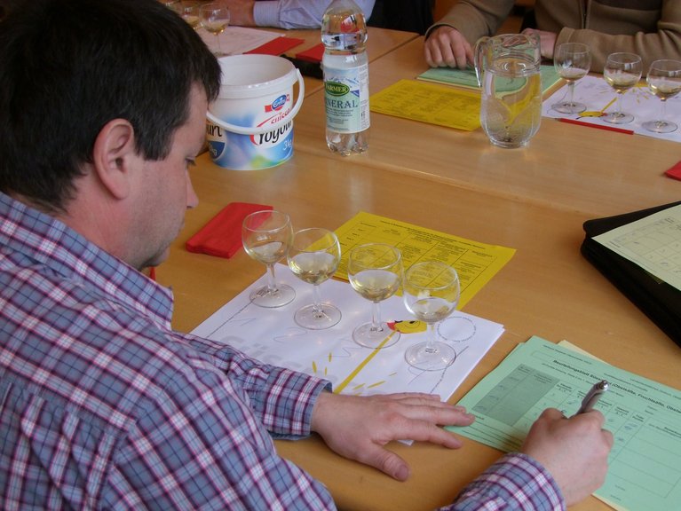 Die Fachjury bei der Beurteilung. (Bild VAOV)