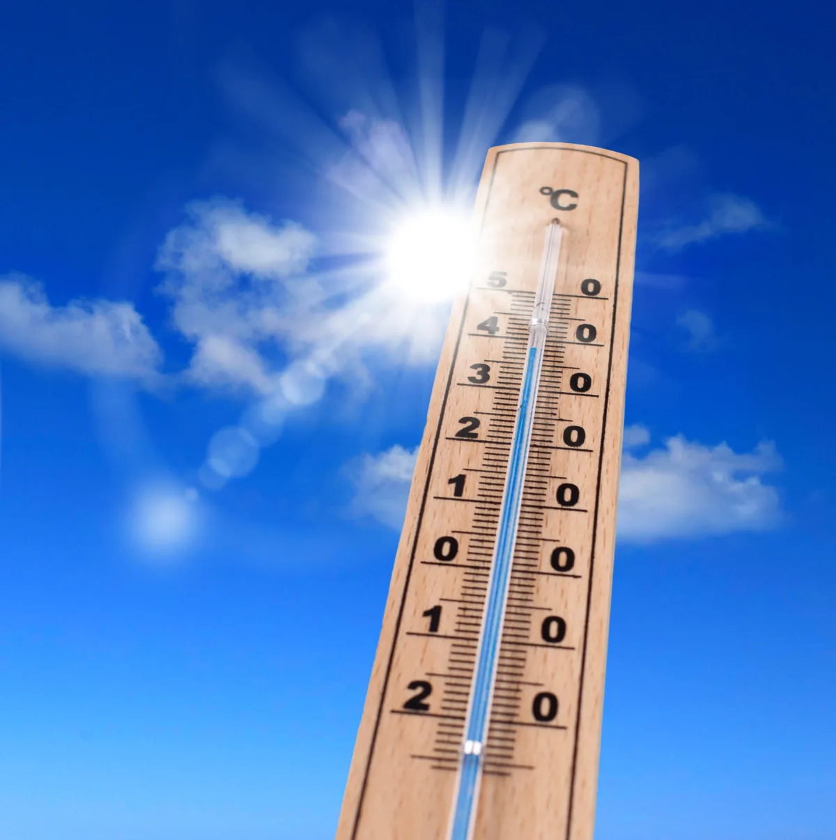 6d5ecf80ff403b717923256e48735cc3b82aa2d5 Für Nutztiere können bereits Temperaturen ab 20°C belastend sein, besonders in Kombination mit hoher Luftfeuchtigkeit. Es droht die Gefahr der Überhitzung, wenn der Körper mehr Wärme erzeugt, als er abgeben kann. (Symbolbild Fotolia)
