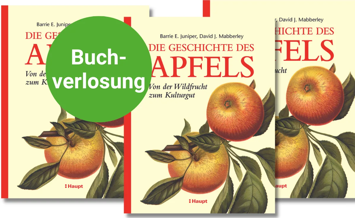 buch-apfel Das Fachbuch «Die Geschichte des Apfels – Von der Wildfrucht zum Kulturgut»