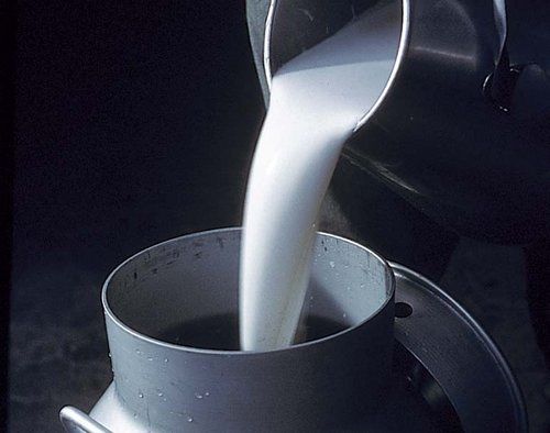 Die Preisdifferenz zwischen konventioneller und Bio-Milch nimmt zu. (Bild lid)