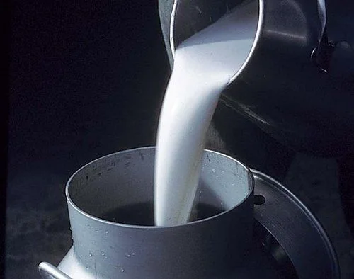 b96c3df98a2e6de4726f18b20cf23e691043b0c3 Die Preisdifferenz zwischen konventioneller und Bio-Milch nimmt zu. (Bild lid)