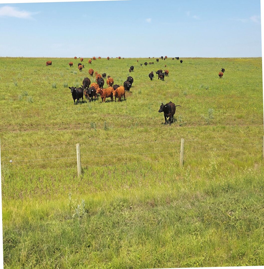 Landwirtschaft in Kanada – einige Eindrücke