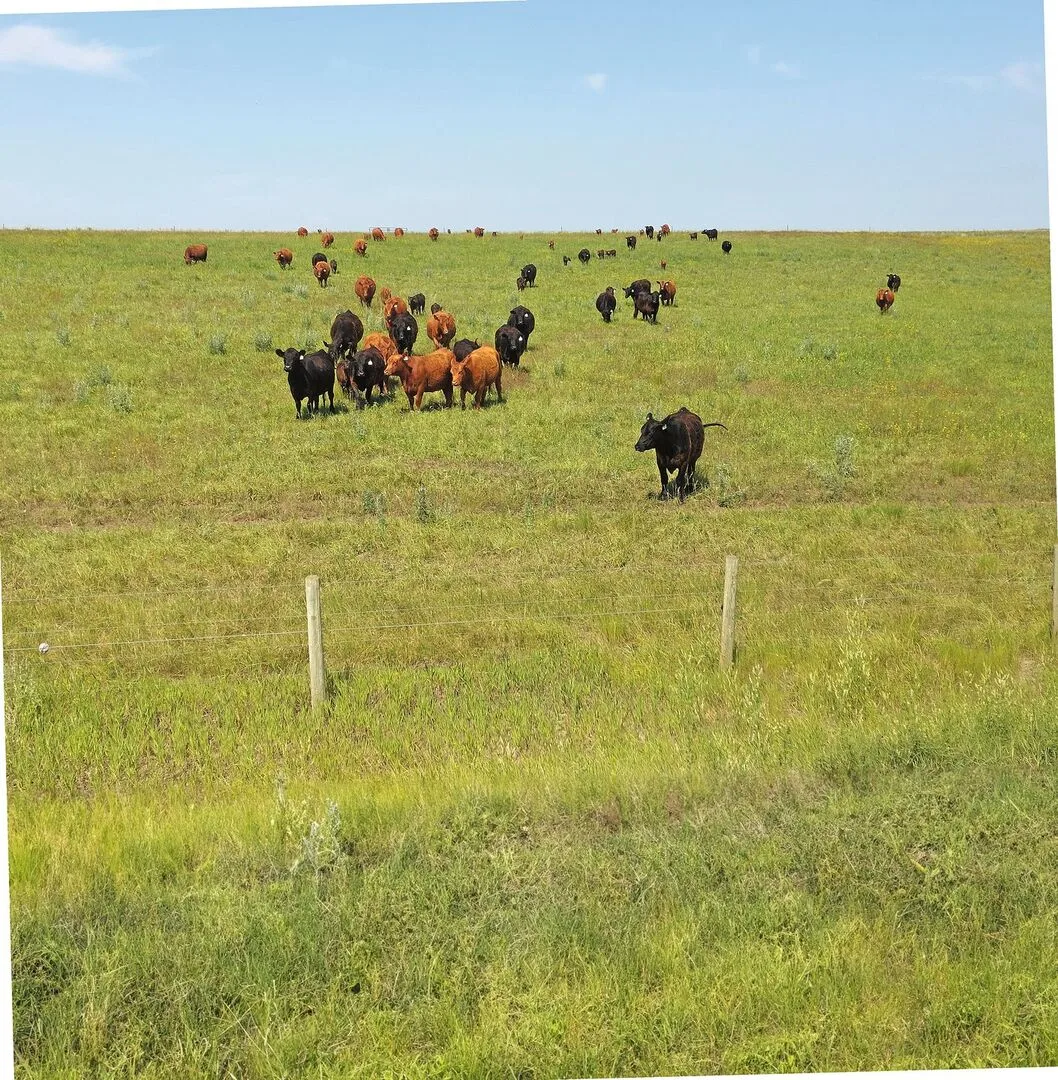 Landwirtschaft in Kanada – einige Eindrücke