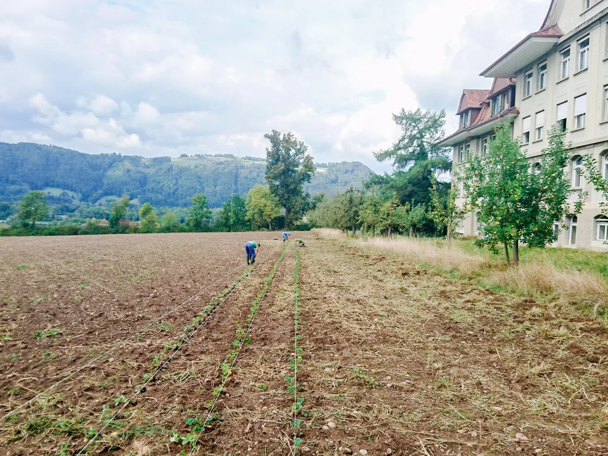Mu__nsingen_Schwand Mögliche gemischte Klassen mit Bio-Schülern bereiten Sorgen