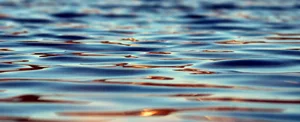 Mit dem Verordnungspaket sollen Oberflächengewässer, Grundwasser und Biotope besser vor den Auswirkungen von Pflanzenschutzmitteln geschützt werden.