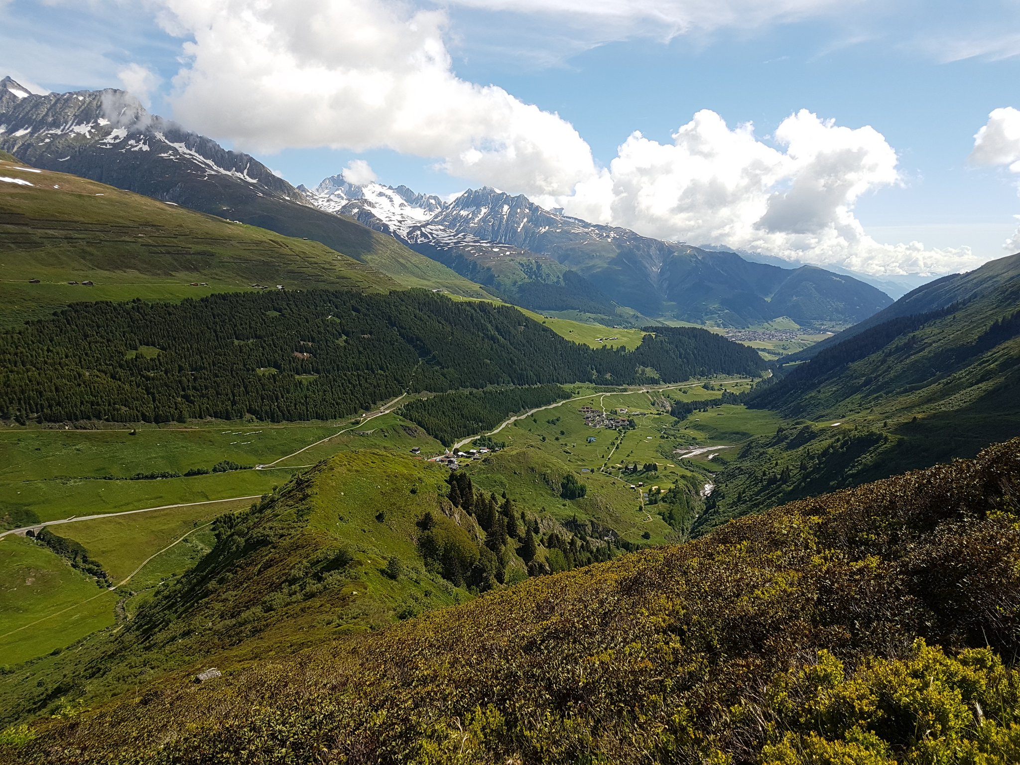 Bergbauern brauchen im Sommer Hilfe