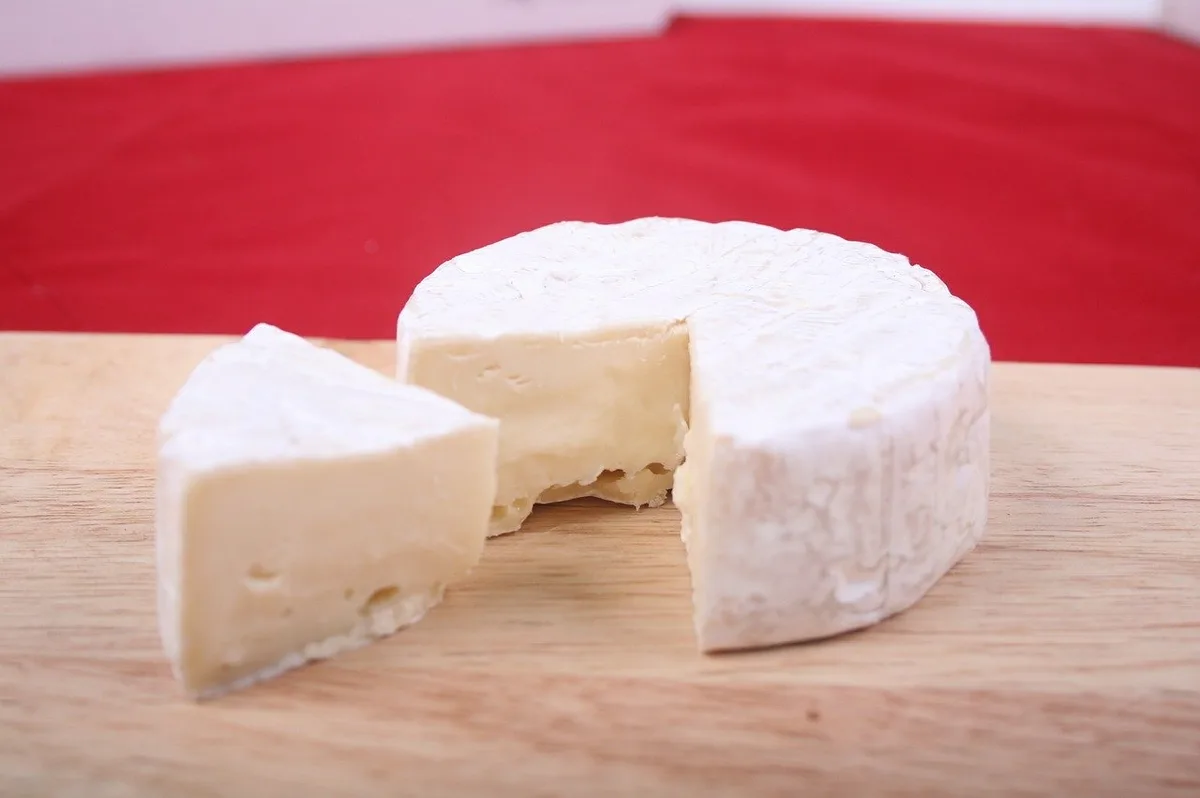 8f4ef60338fee669f9d605f79b46e195c30a345f Bei den Listerienfällen im Mai 2020 war eine briete Palette von Käse aus der Käserei Vogel betroffen, z. B. Brie, Schaf-, Ziegen- und Rahmkäse. (Symbolbild Pixabay)
